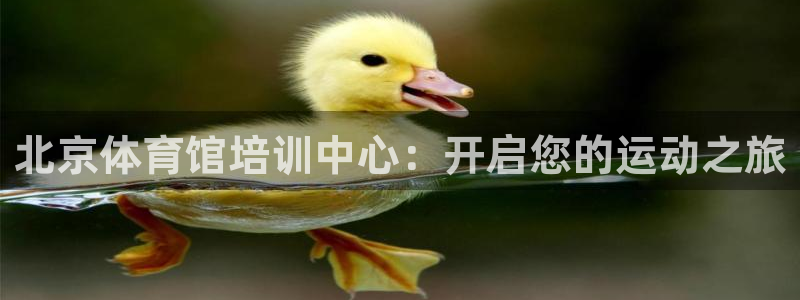 尊龙2021年最新消息：北京体育馆培训中心：开启您的