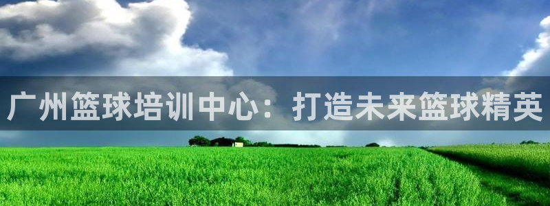 尊龙凯时人生就是搏首页：广州篮球培训中心：打造未来篮