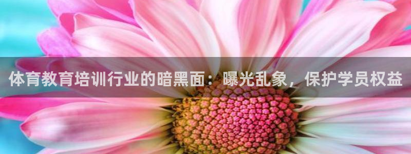 尊龙会ktv价格：体育教育培训行业的暗黑面：曝光乱象