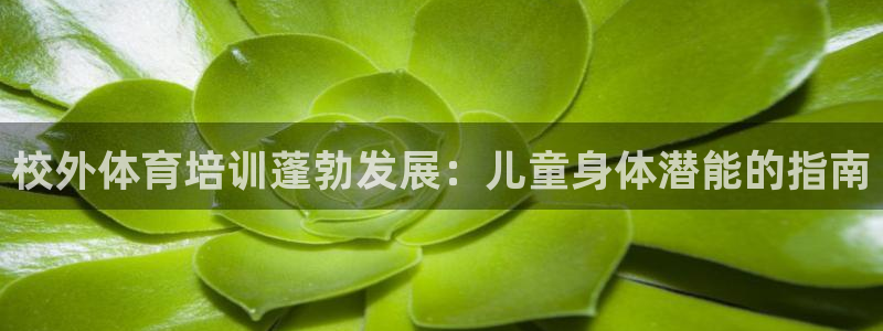 尊龙官网：校外体育培训蓬勃发展：儿童身体潜能的指南