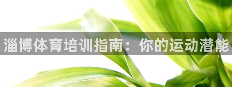 尊龙凯时下载人生就是博：淄博体育培训指南：你的运动潜