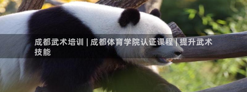凯时k8娱乐唯一官网：成都武术培训 | 成都体育学院
