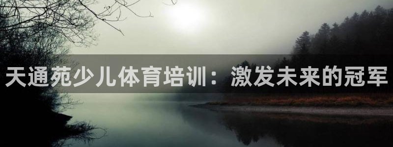尊龙长相评价：天通苑少儿体育培训：激发未来的冠军