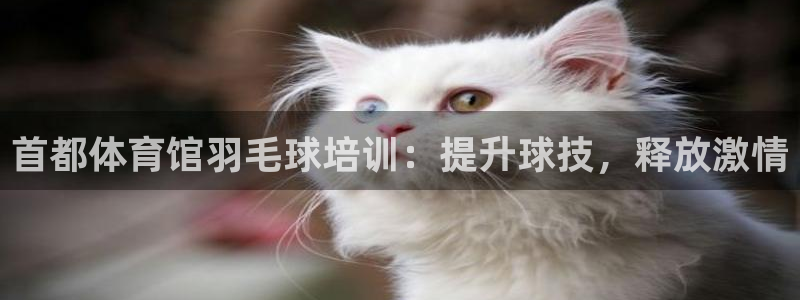尊龙凯时美金能提取吗：首都体育馆羽毛球培训：提升球技