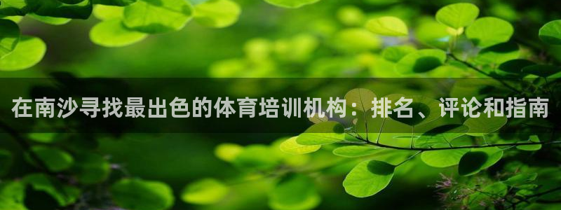 尊龙游戏官网游戏特色：在南沙寻找最出色的体育培训机构