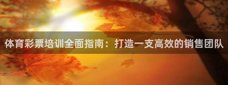 尊龙app怎么样：体育彩票培训全面指南：打造一支高效的销售团