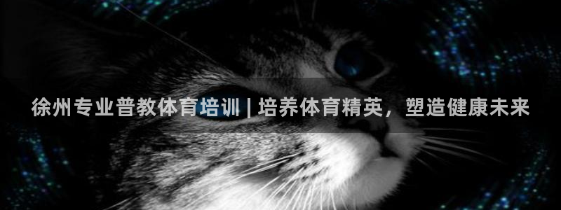 尊龙凯时-人生就是博中国官网：徐州专业普教体育培训 | 培养