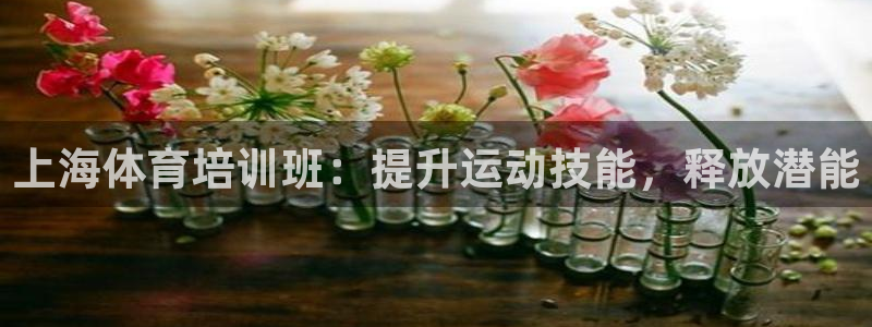 凯时在线平台官网：上海体育培训班：提升运动技能，释放