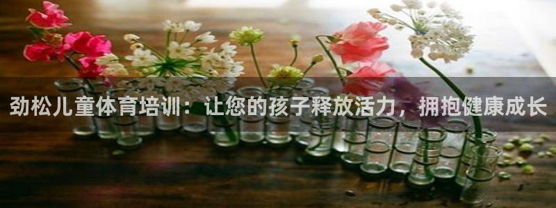 尊龙凯时美金能提取吗：劲松儿童体育培训：让您的孩子释