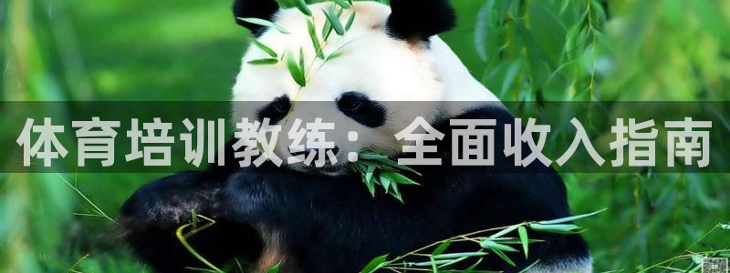 尊龙官网登录·(中国)官方网站-bd SPORTS：