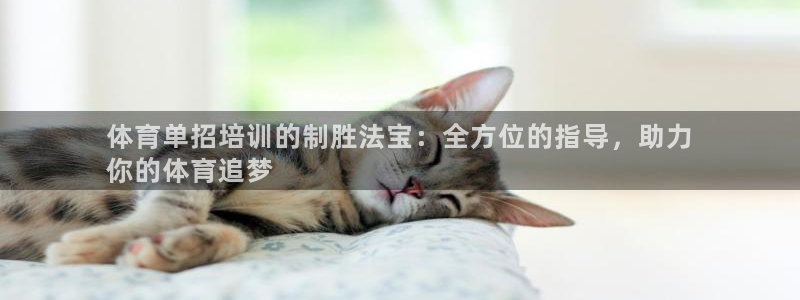 尊龙app登录不了：体育单招培训的制胜法宝：全方位的