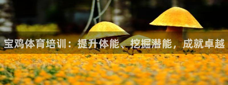 尊龙凯时开发：宝鸡体育培训：提升体能、挖掘潜能，成就
