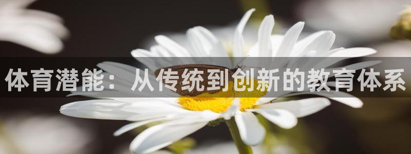 尊龙t600怎么样