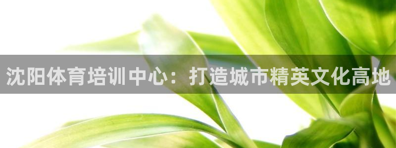 尊龙凯时链接