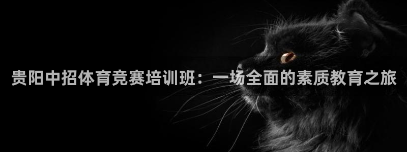 尊龙手机客户端下载APP