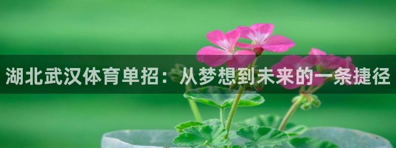 尊龙凯时白家乐Abb下载