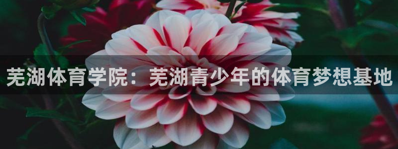 尊龙凯时登陆