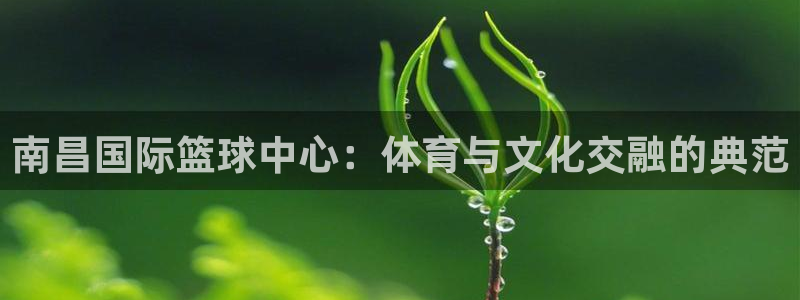 尊龙凯时 人生就是搏