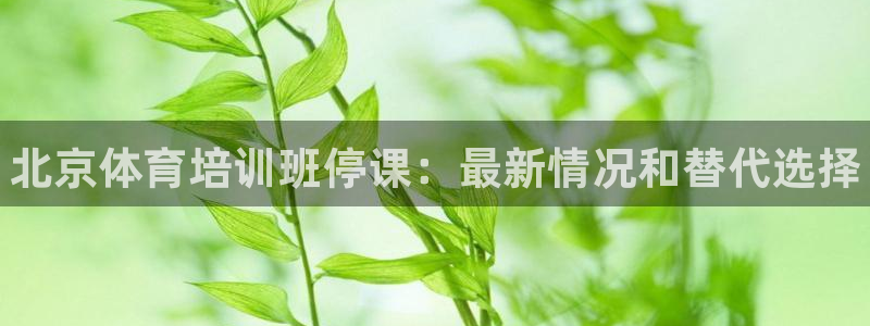 尊龙2016：北京体育培训班停课：最新情况和替代选择