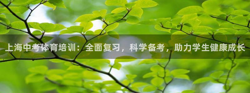 尊龙官网在哪里