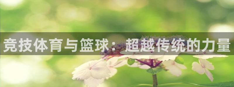 尊龙会ktv价格：竞技体育与篮球：超越传统的力量