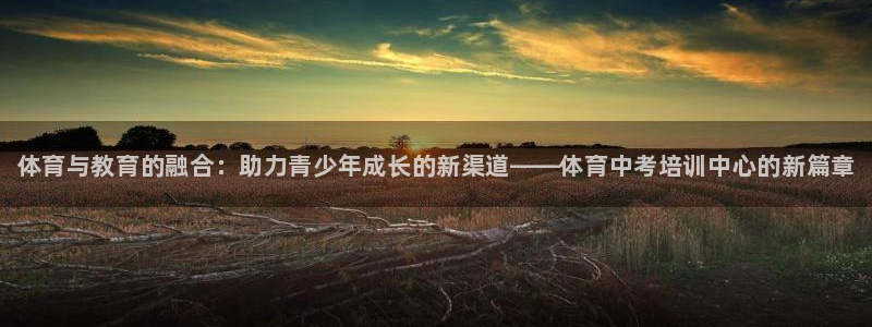 尊龙凯时网站不让提款：体育与教育的融合：助力青少年成