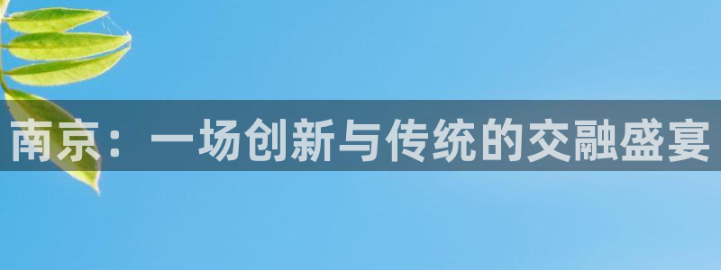 尊龙凯时怎么样没听说过：南京：一场创新与传统的交融盛宴