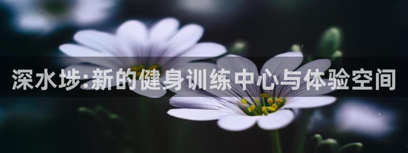 尊龙凯时旗舰厅百家乐下载：深水埗:新的健身训练中心与体验空间