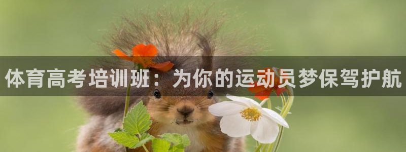 ag尊龙凯时集团：体育高考培训班：为你的运动员梦保驾