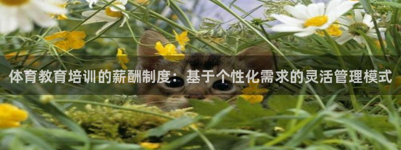 尊龙凯时开发：体育教育培训的薪酬制度：基于个性化需求
