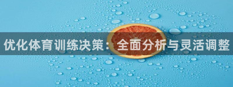 尊龙新版官网网页版：优化体育训练决策：全面分析与灵活