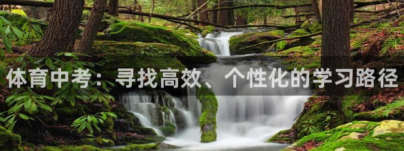 尊龙凯时的生产设备：体育中考：寻找高效、个性化的学习路径